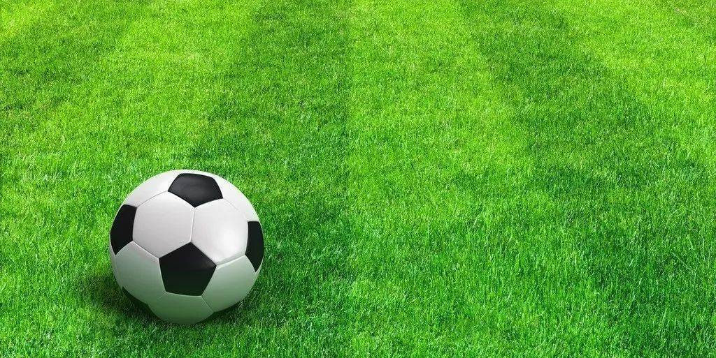 篮球比赛数据分析图表